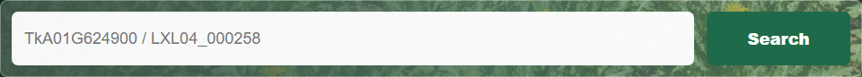 Homepage and gene search: input and parameters